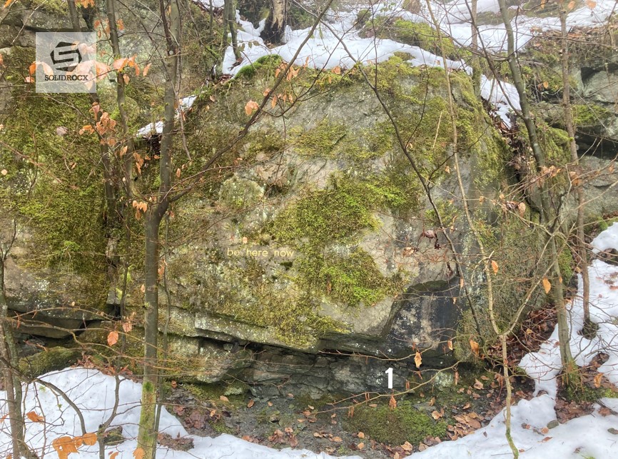 Foto 1 Dachsbergbruch