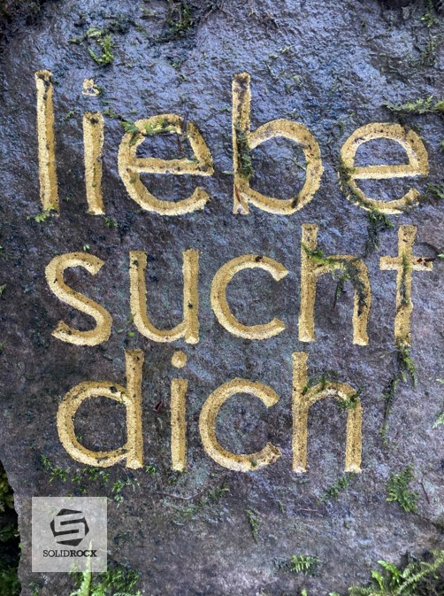 Bild 1 Neuhauser Forst