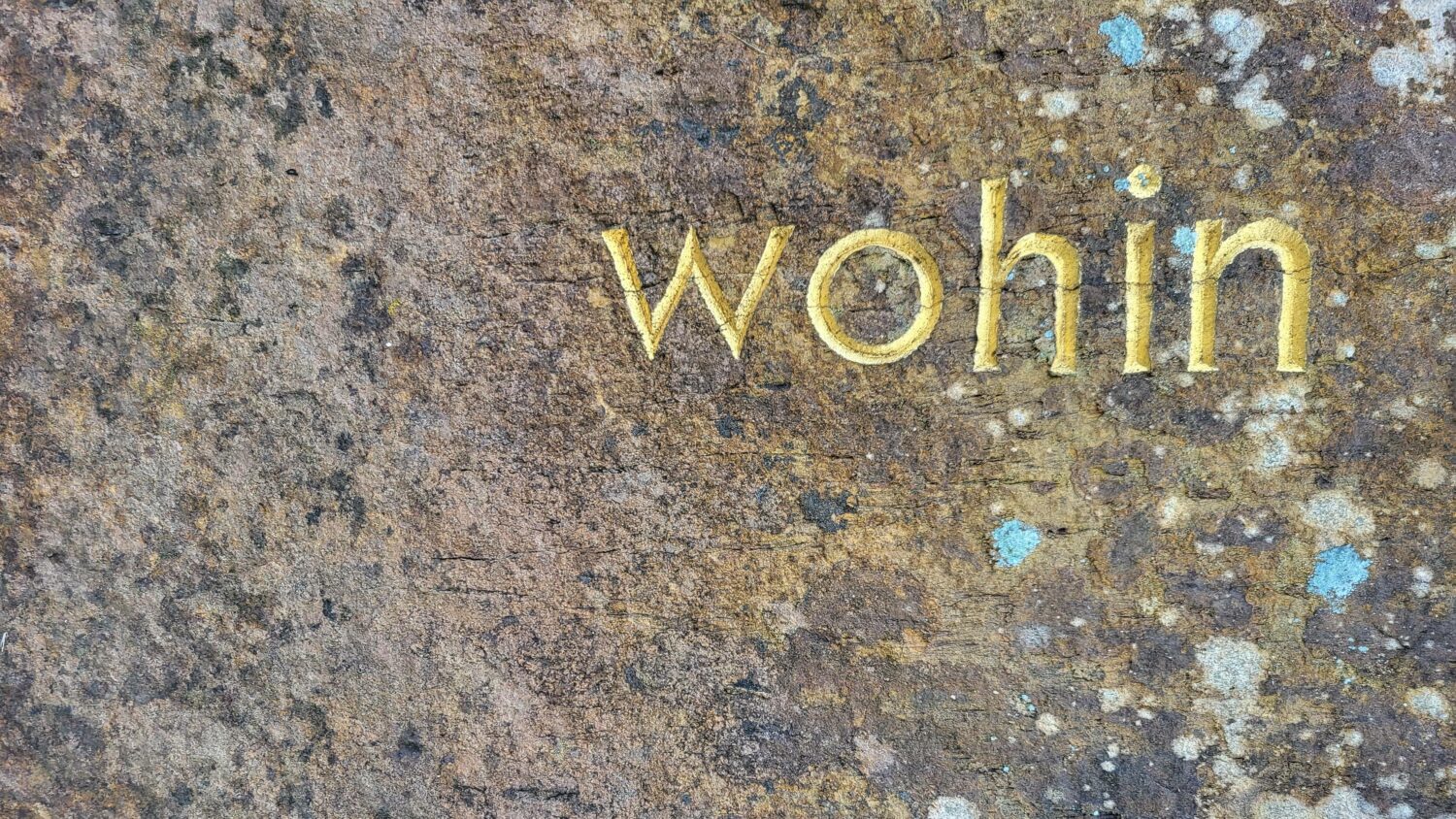 Titelbild Neuhauser Forst